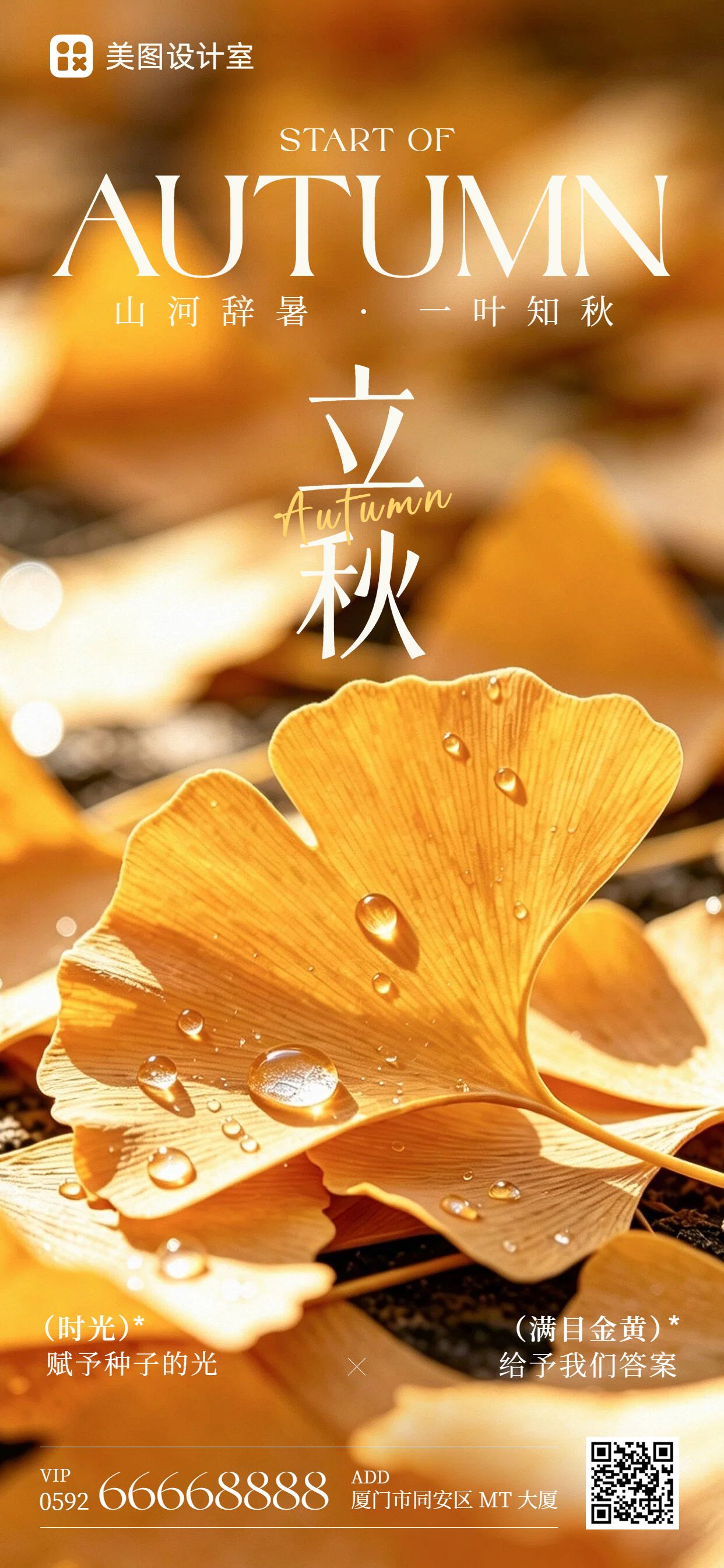 实景风橙黄色通用类立秋祝福问候手机全屏海报