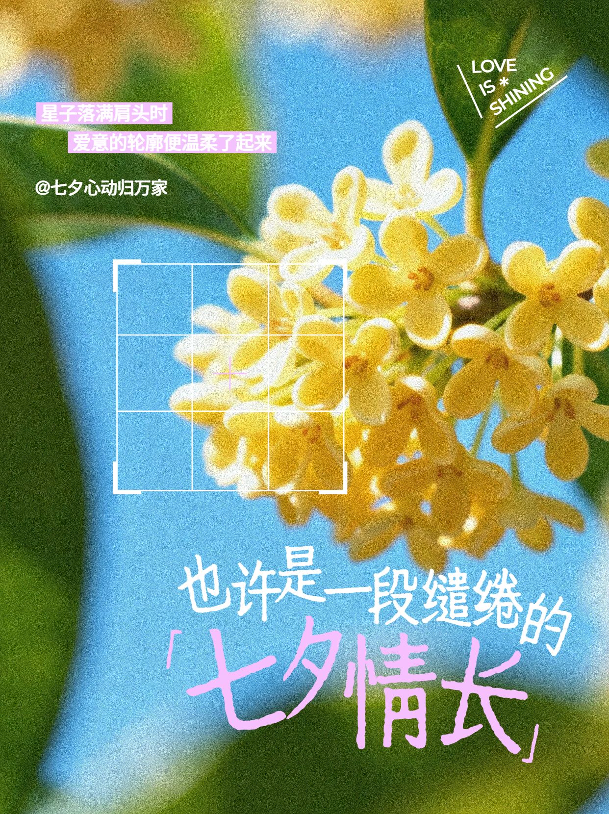 实景风黄绿色七夕情人节通用类祝福问候拼图晒照