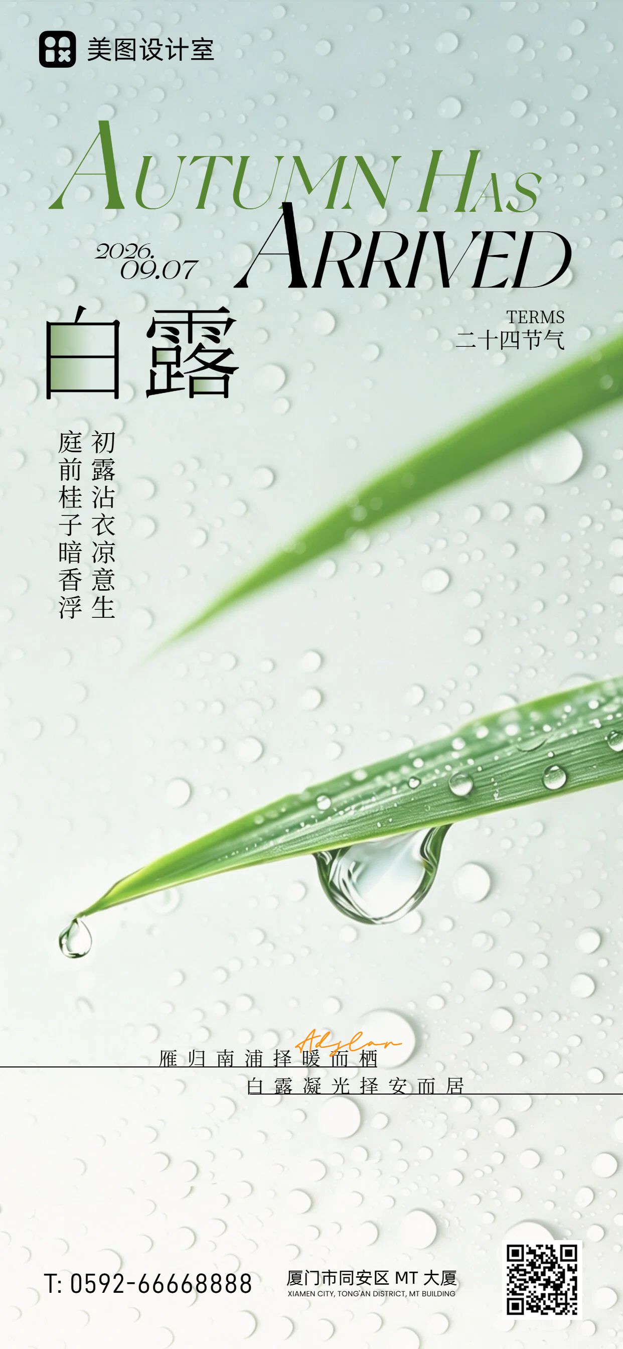 简约清新风绿色通用类白露祝福问候手机全屏海报