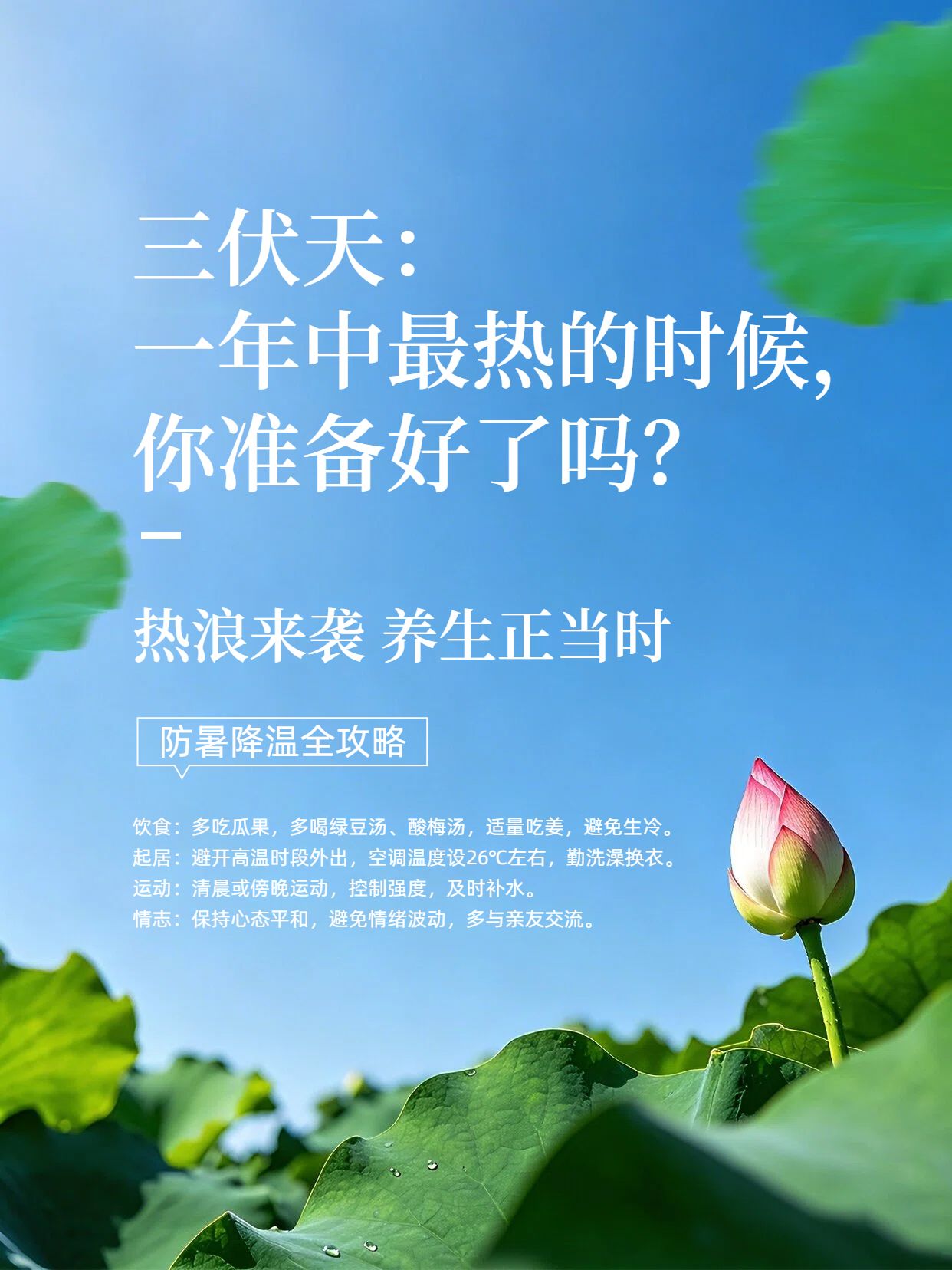 清新实景风蓝色通用类交流分享三伏天节气介绍知识科普小红书封面