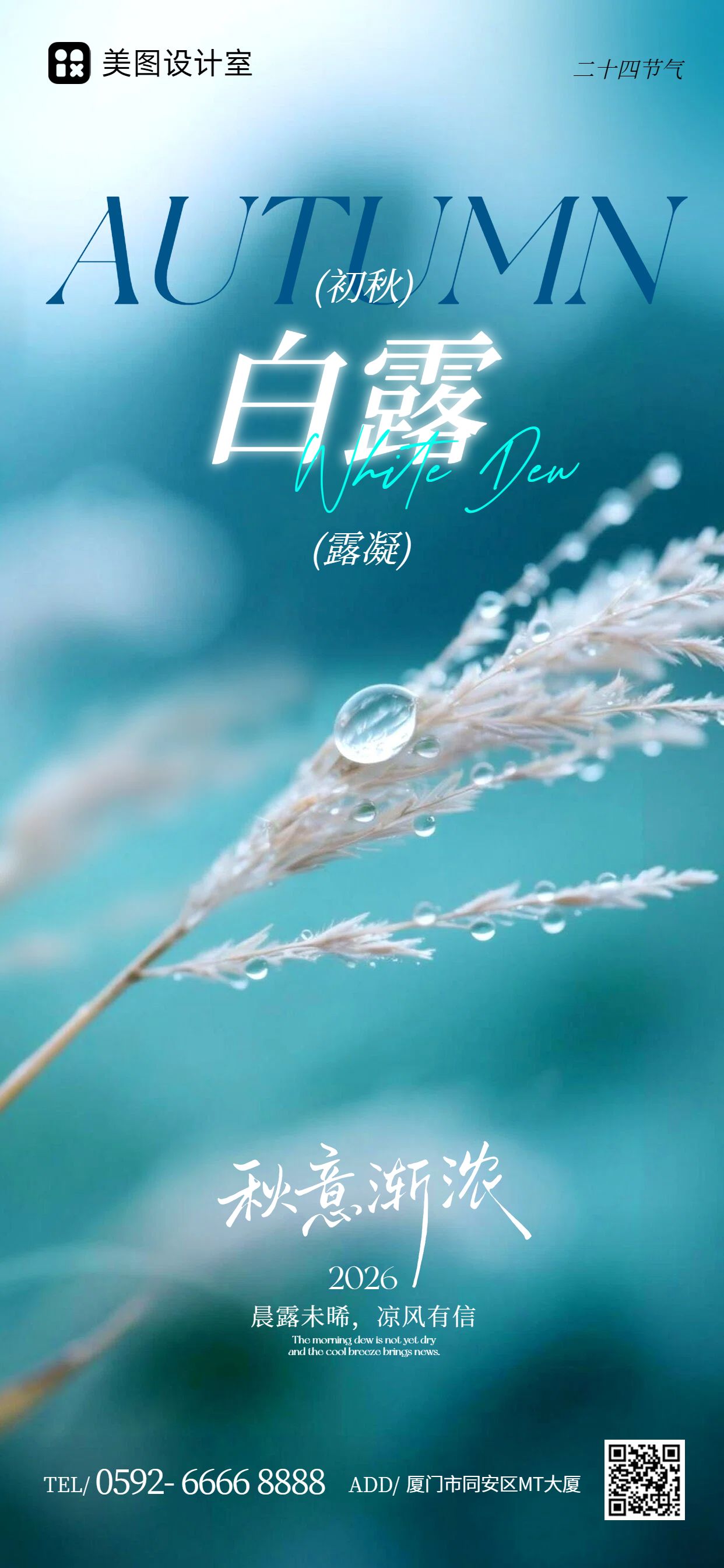 实景风蓝色通用类白露祝福问候手机全屏海报