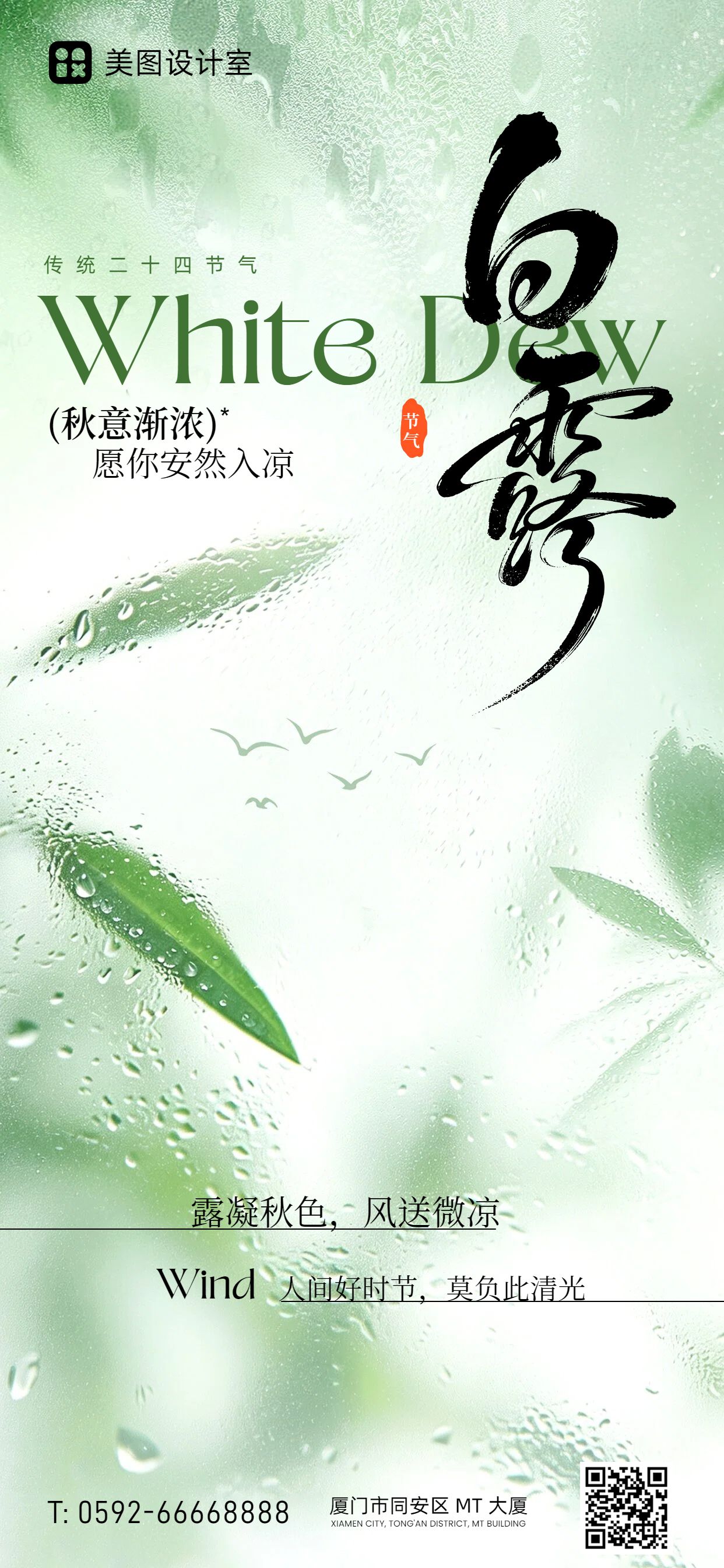 简约清新风绿色通用类白露祝福问候手机全屏海报