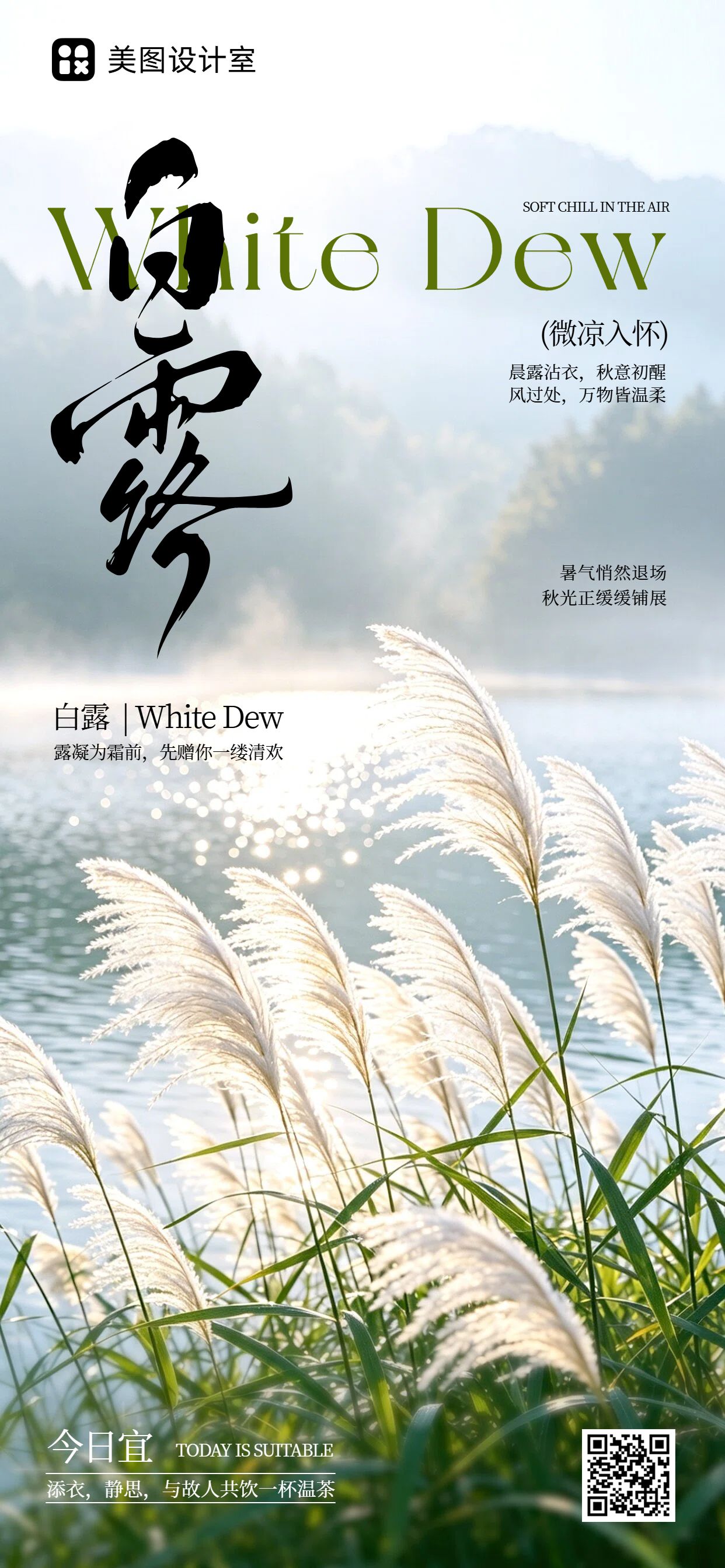 实景风绿色通用类白露祝福问候手机全屏海报