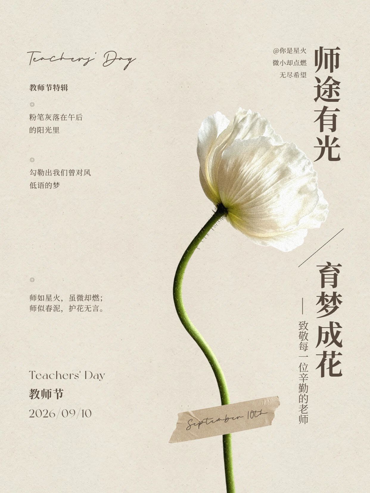 简约文艺风黄色通用类交流分享教师节金句语录小红书封面