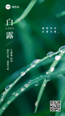 白露实景风绿叶露珠二十四节气问候海报 白露实景风绿叶露珠二十四节气问候海报模板图片