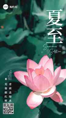 夏至清新简约风荷花实物节气问候海报 夏至清新简约风荷花实物节气问候海报模板图片