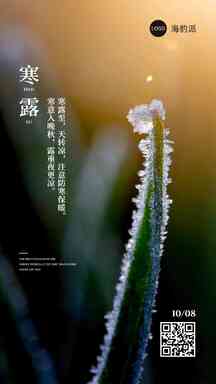 寒露文艺草结冰实景节气海报 寒露文艺草结冰实景节气海报模板图片