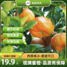 电商实景风鲜果蜜橙电商主图海报 电商实景风鲜果蜜橙电商主图海报模板图片
