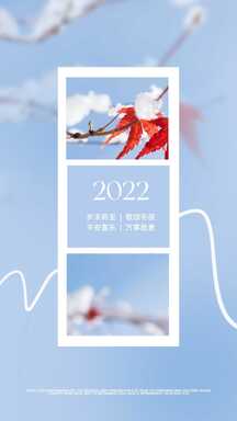 简约实景风新年元旦意境拼图晒照海报 简约实景风新年元旦意境拼图晒照海报模板图片