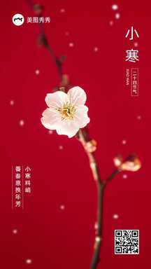 小寒喜庆典雅实景风梅花春意节气祝福海报 小寒喜庆典雅实景风梅花春意节气祝福海报模板图片