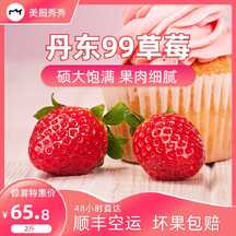 甜蜜可爱风丹东草莓食品生鲜电商主图海报 甜蜜可爱风丹东草莓食品生鲜电商主图海报模板图片