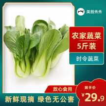 国潮风蔬菜食品生鲜电商主图海报 国潮风蔬菜食品生鲜电商主图海报模板图片