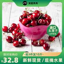 通用质感樱桃车厘子电商主图海报 通用质感樱桃车厘子电商主图海报模板图片