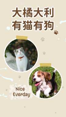 可爱卡通风大橘大利宠物猫狗拼图晒照海报 可爱卡通风大橘大利宠物猫狗拼图晒照海报模板图片