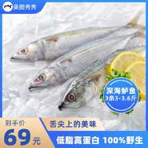 简约风海产深海鲈鱼电商主图海报 简约风海产深海鲈鱼电商主图海报模板图片
