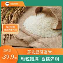 简约撞色风东北胚芽香米电商主图海报 简约撞色风东北胚芽香米电商主图海报模板图片