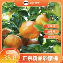 简约质感电商风精品砂糖橘电商主图海报 简约质感电商风精品砂糖橘电商主图海报模板图片