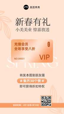 简约ins风会员VIP卡充值新春有礼开春营销海报 简约ins风会员VIP卡充值新春有礼开春营销海报模板图片