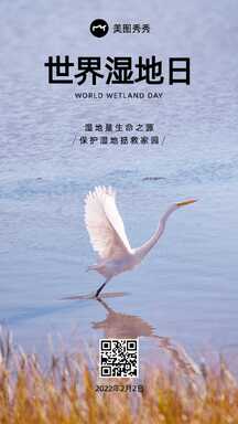 实景简约风世界湿地日节日海报 实景简约风世界湿地日节日海报模板图片