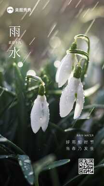 雨水实景风二十四节气海报 雨水实景风二十四节气海报模板图片