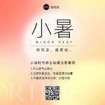小暑简约酸性风节气注意事项方形图海报 小暑简约酸性风节气注意事项方形图海报模板图片