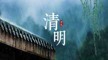大气实景风清新雨中清明节节日宣传横版海报banner 大气实景风清新雨中清明节节日宣传横版海报banner模板图片