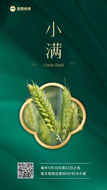 小满高级轻奢风节气祝福海报 小满高级轻奢风节气祝福海报模板图片
