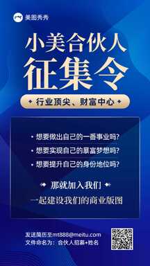 质感商务风合伙人征集招募邀请海报 质感商务风合伙人征集招募邀请海报模板图片