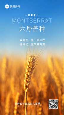 大气实景风芒种节气祝福海报 大气实景风芒种节气祝福海报模板图片