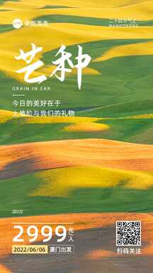 轻设计质感实景风芒种节气营销海报 轻设计质感实景风芒种节气营销海报模板图片