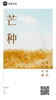 芒种简约实景节气问候海报 芒种简约实景节气问候海报模板图片