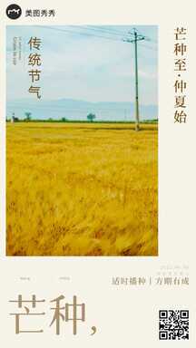 芒种简约稻田实景节气海报 芒种简约稻田实景节气海报模板图片