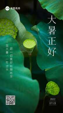简约高级实景风大暑节日节气祝福海报 简约高级实景风大暑节日节气祝福海报模板图片
