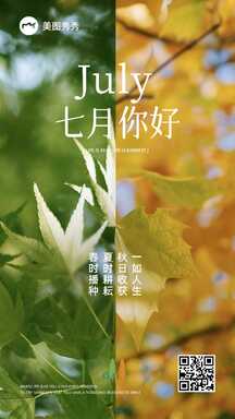 A5_1 A5_1模板图片