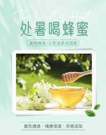 清新简约风处暑节气蜂蜜养生电商竖版海报 清新简约风处暑节气蜂蜜养生电商竖版海报模板图片