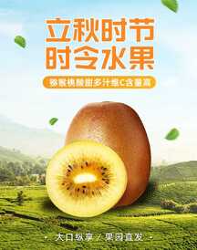 简约清新实景风立秋节气时令水果猕猴桃电商竖版海报 简约清新实景风立秋节气时令水果猕猴桃电商竖版海报模板图片