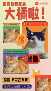 扁平拼贴风寻猫启事寻物启事七夕创意海报 扁平拼贴风寻猫启事寻物启事七夕创意海报模板图片