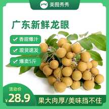 清新简约风中秋促销水果生鲜龙眼电商主图直通车 清新简约风中秋促销水果生鲜龙眼电商主图直通车模板图片