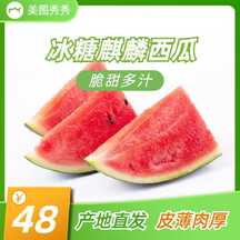 清新简约风西瓜水果生鲜电商主图直通车 清新简约风西瓜水果生鲜电商主图直通车模板图片